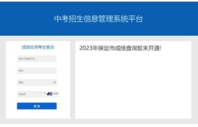 2023中考成绩查询：攻略在手，梦想照进现实