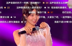 王子瑾：华语乐坛的新篇章