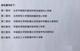 人大附小朝阳分校：培养未来领袖的摇篮