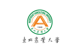 东北农业大学2024年各学科排名一览表！附教育部评级比例