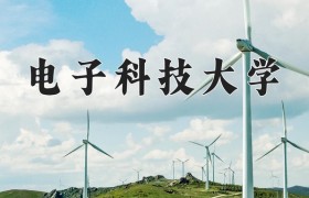 2024年电子科技大学在四川计划招生人数（附学费及专业录取分)