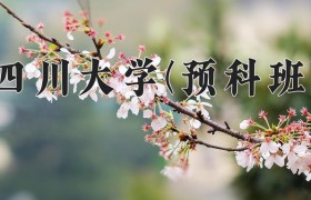 2024年四川大学(预科班)在重庆计划招生人数（附学费及专业录取分)