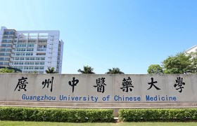 广州中医药大学2024年各学科排名一览表！附教育部评级比例
