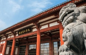 2024年洛阳理工学院在河南计划招生人数（附学费及专业录取分）