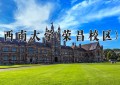 2024年西南大学(荣昌校区)在四川计划招生人数（附学费及专业录取分)