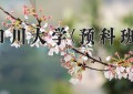 2024年四川大学(预科班)在重庆计划招生人数（附学费及专业录取分)