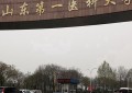 山东医药类大学排名-2024年山东医药类最新高校排行榜