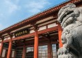 2024年洛阳理工学院在河南计划招生人数（附学费及专业录取分）